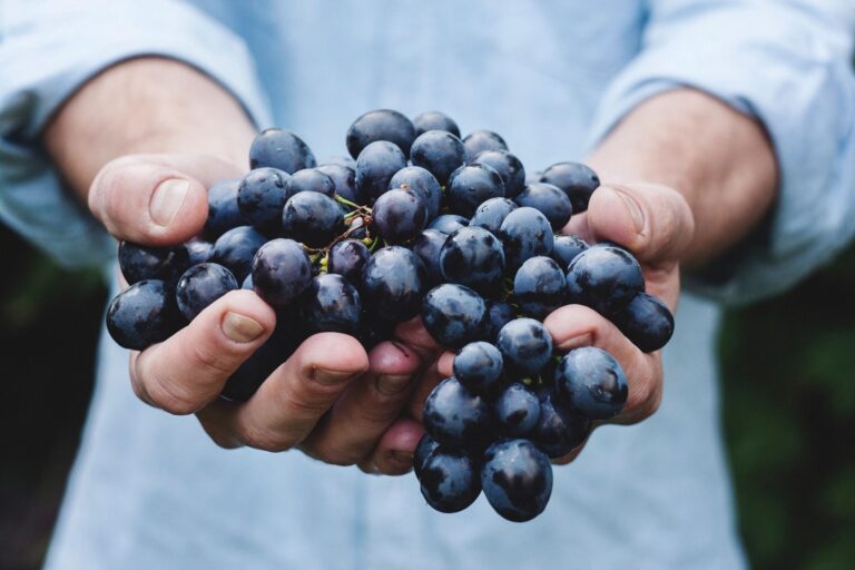 person holding a bundle of blueberries
