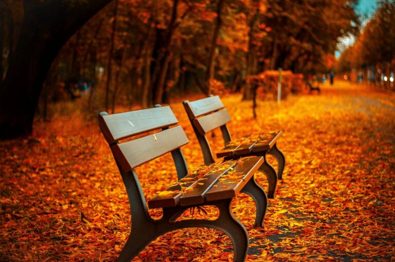 Fall bench outside